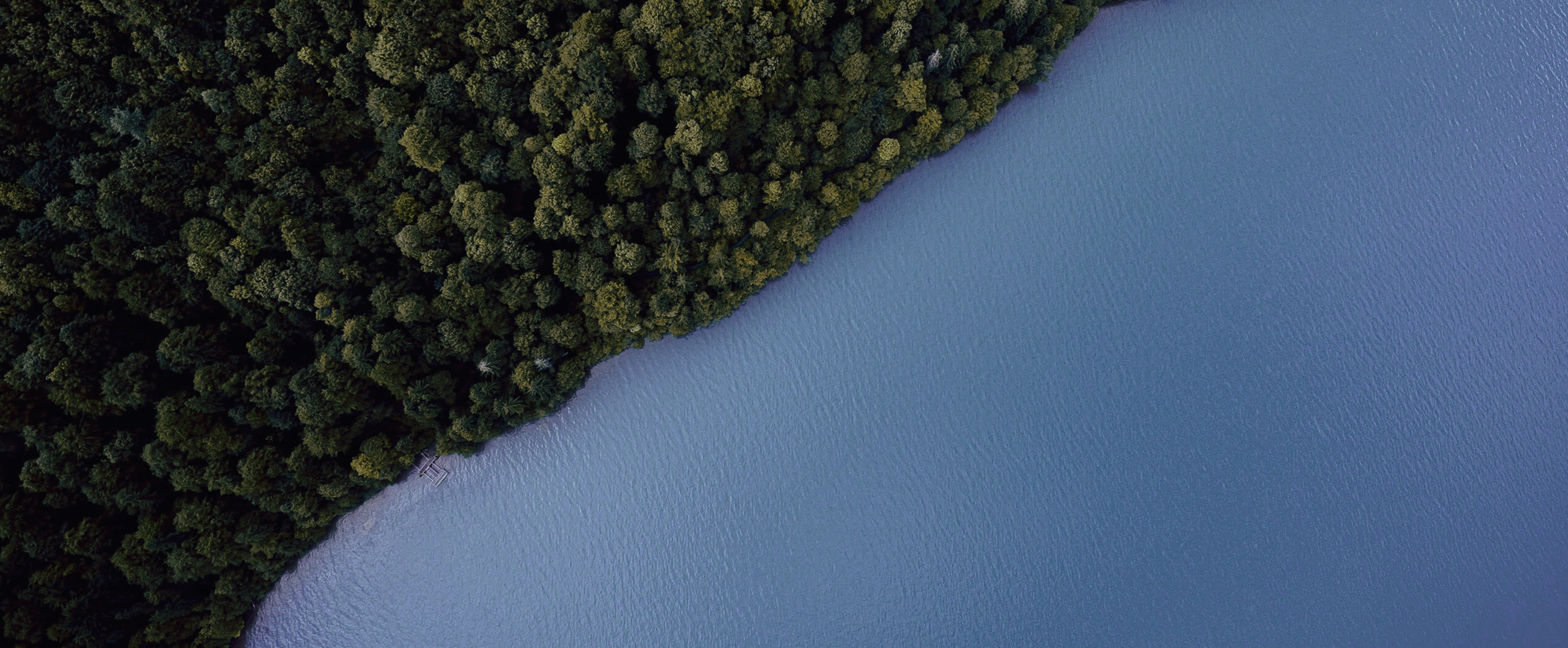 Tjenester, der passer til din virksomheds behov